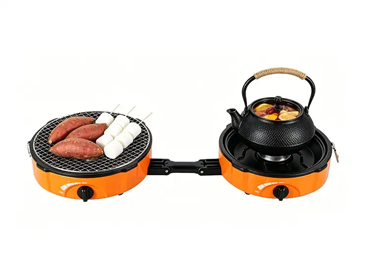 Portable Grill Buying Guide: How to Buy the Right One for You